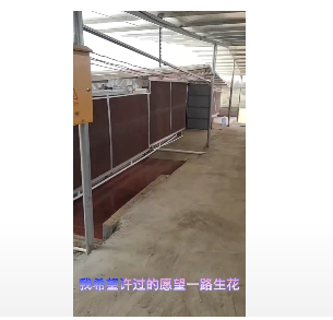 養(yǎng)豬場濕簾墻實(shí)拍